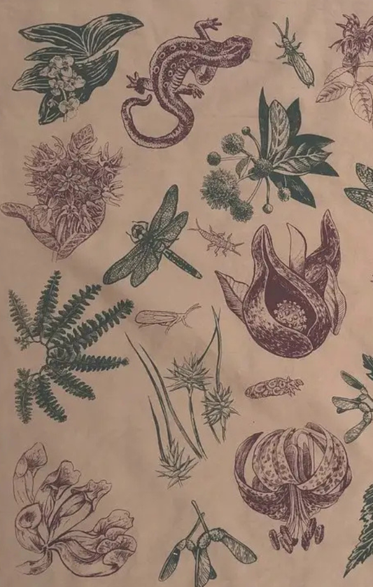 The Wetlands Bandana